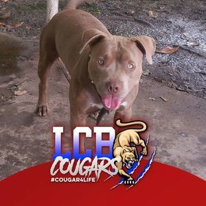 Meet your Posher, Wilbert